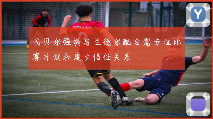 戈贝尔强调与兰德尔配合需专注比赛计划和建立信任关系